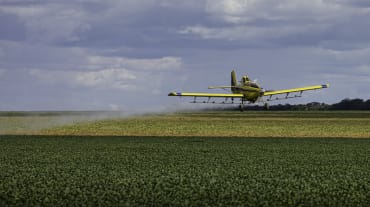 Pulverización aérea de pesticidas sobre monocultivos de soja