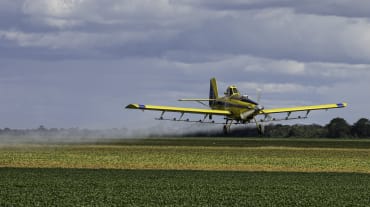 Un avión de hélice rocía un campo de soja con pesticidas desde el aire