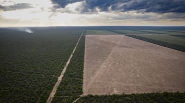 Vista aérea de la deforestación de una gran parcela de monte nativo en la provincia de Chaco, Argentina