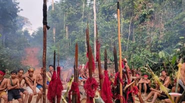 Indígenas Dayak Tomun de Kinipan resisten contra la deforestación de su bosque por la empresa de aceite de palma SML