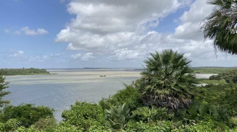 Vista de una bahía con vegetación en primer plano y nubes blancas en el cielo