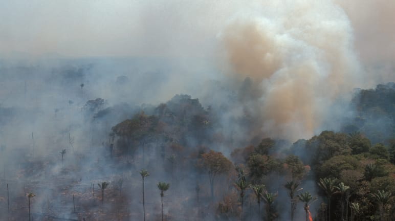 Vista aérea de la selva amazónica en llamas