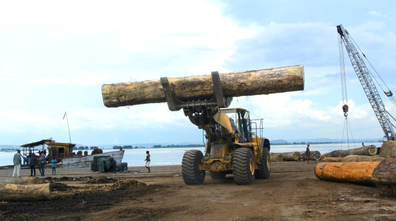 Carga de madera en el puerto de Kinshasa