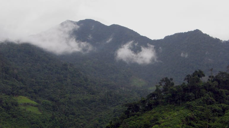 Paisaje montañoso en el que se pueden ver las cumbres cubiertas de densos bosques