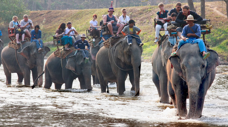 Turistas montando elefantes en Tailandia