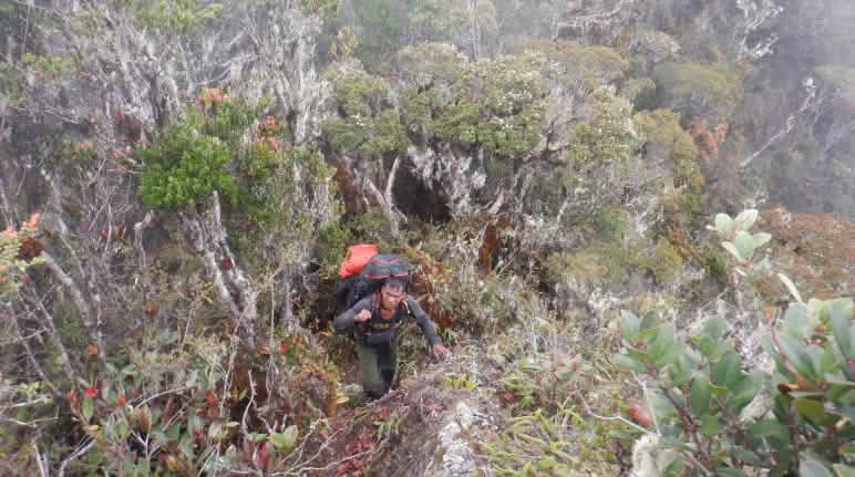La patrulla de guardabosques recorre desde los pantanos, pasando por la selva tropical, hasta la escarpada región montaños Un guarda forestal con una mochila en terreno escarpado