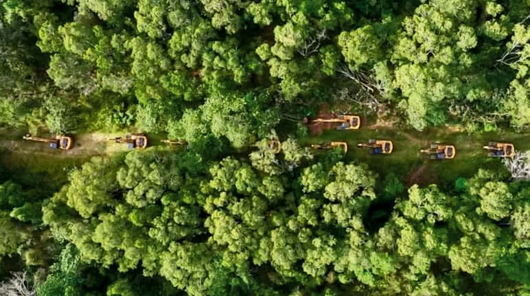 Foto tomada desde un dron de una larga fila de excavadoras que circulan por un camino en el bosque tropical