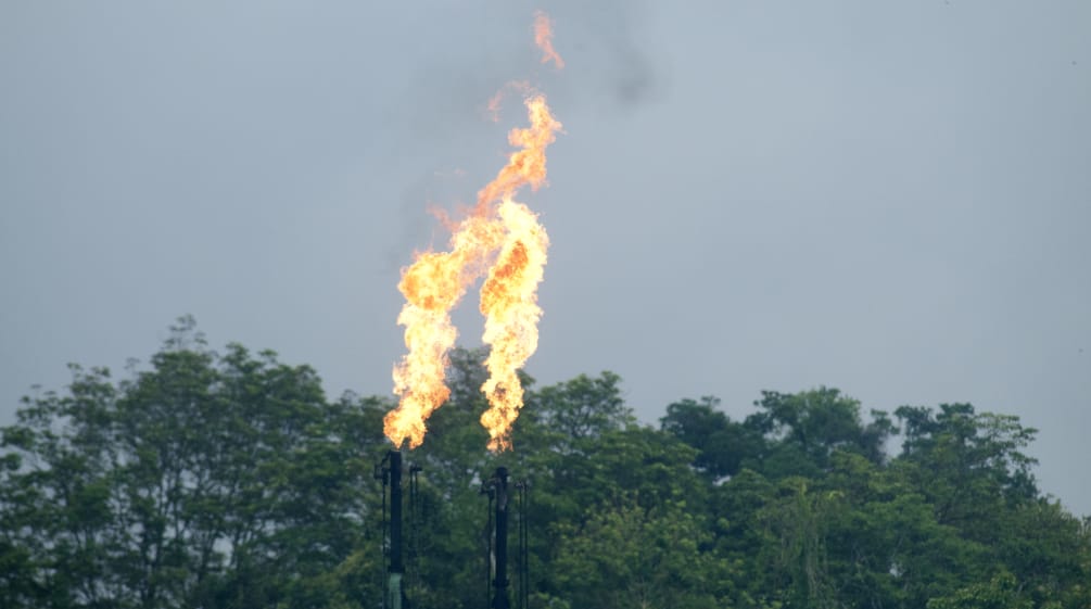 Mecheros de la industria petrolera en el Yasuní