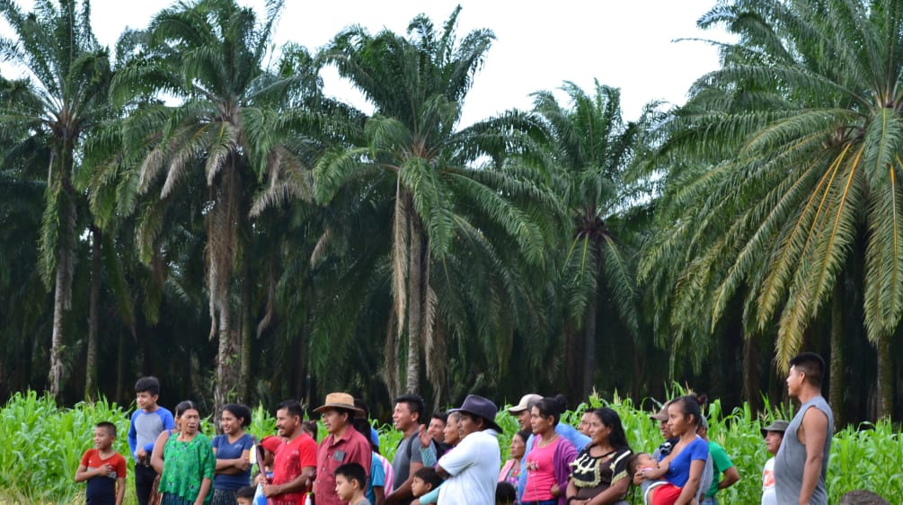 Grupo de personas de la comunidad Chapín Abajo frente a plantación de palma aceitera que rodea la comunidad