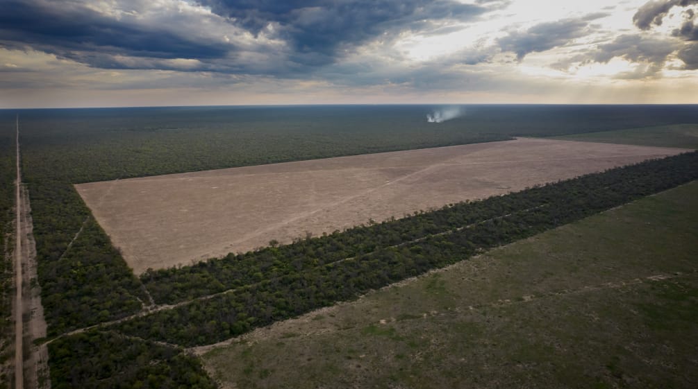 Deforestación del bosque de Chaco en la provincia de Chaco, Argentina