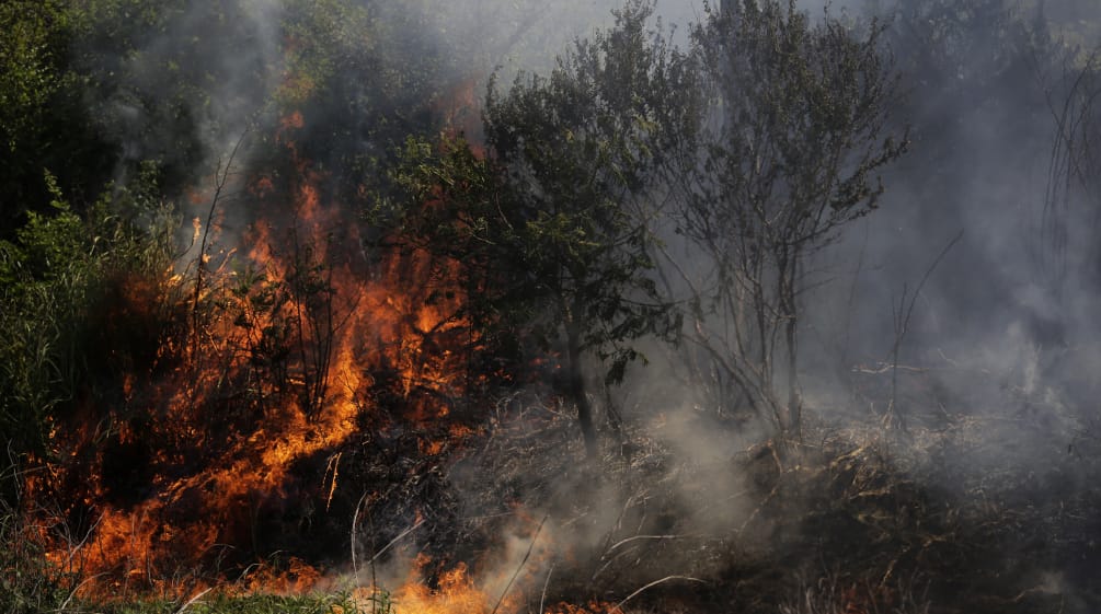 Incendio en la provincia de Chaco, Argentina