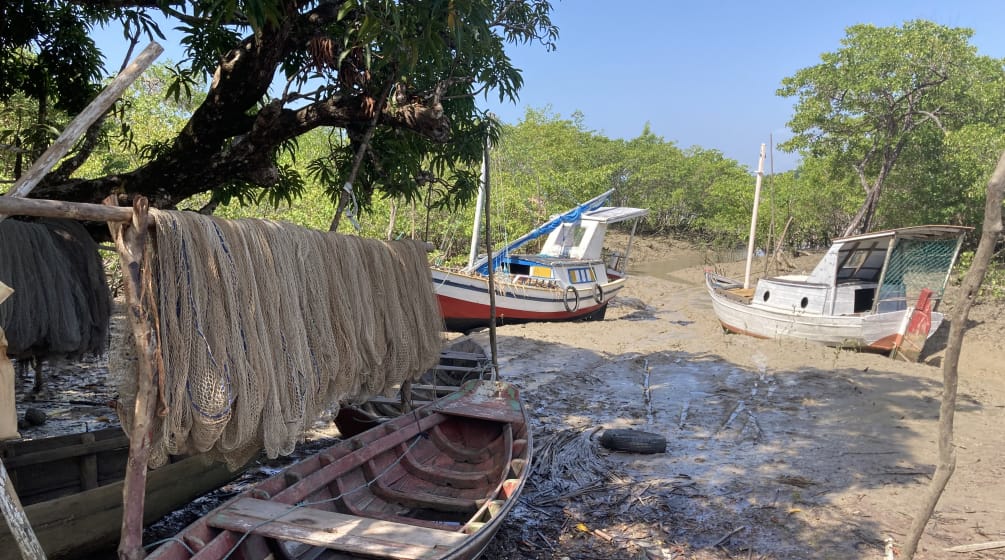 Barcos y redes de pesca colgados a secar en un manglar frente a la isla Cajual durante la marea baja