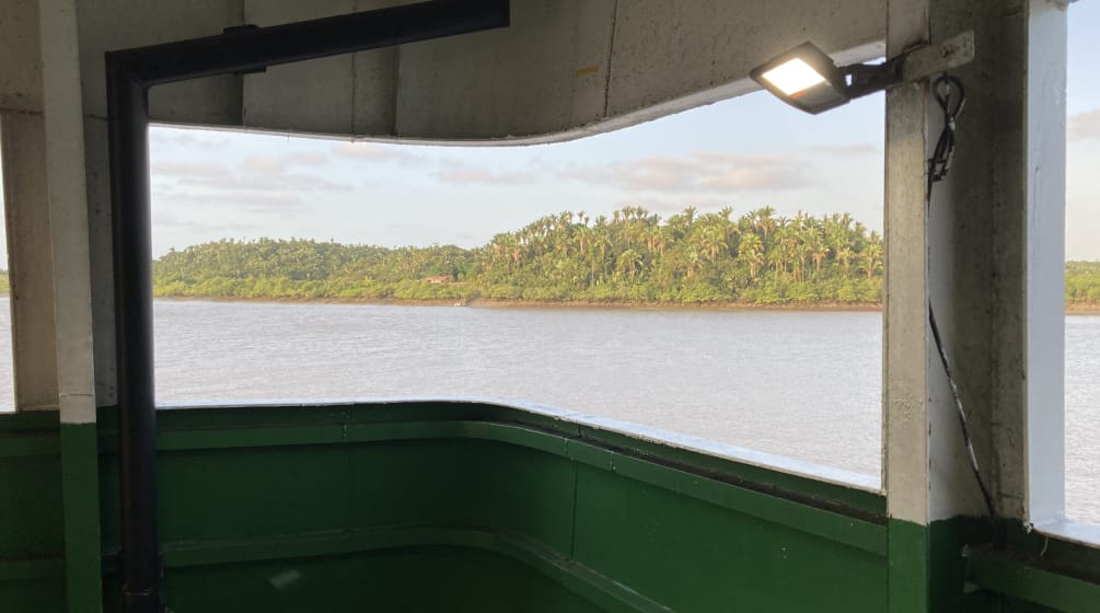 Vista de la isla Cajual desde la cubierta de un barco. Al fondo la isla cubierta de palmeras.