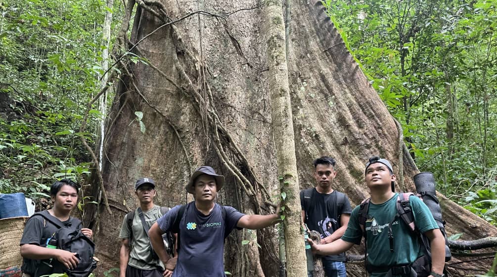 Cinco hombres al pie de un árbol gigante