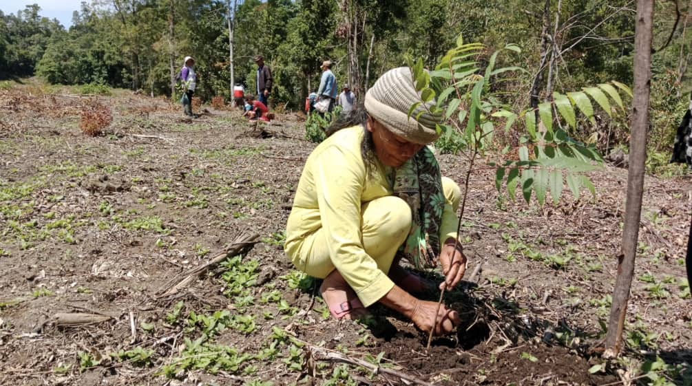 Mujer Batak en cuclillas plantando un árbol