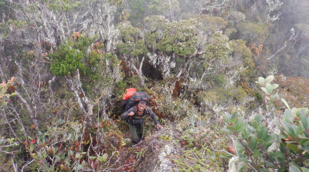 Un guarda forestal con una mochila en terreno escarpado