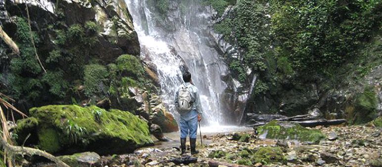 Cascada en el bosque de Intag, ahora en grave peligro por la actividad minera en la región Cascada