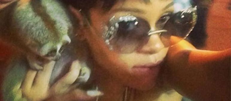 Foto: Badgalriri via Instagram. Rihanna con el loris, la pasada semana Rihanna con el loris