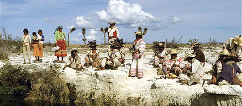 Wirikuta Desierto de Wirikuta