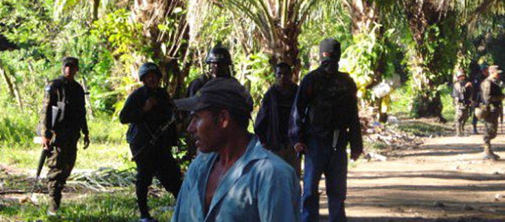 Una mala combinación: palma, militares y campesinos