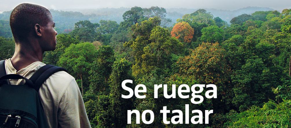 Selva de Camerún Se ruega no talar