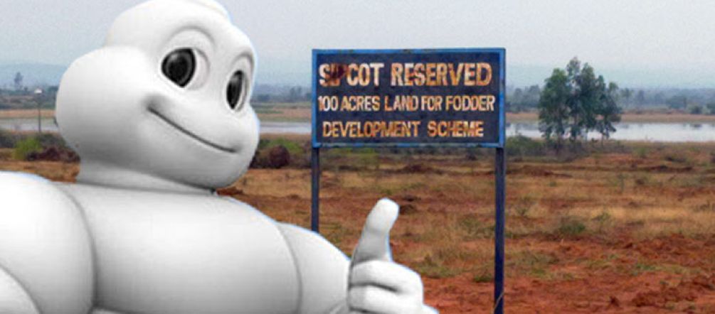 Michelin responsable de deforestación en India