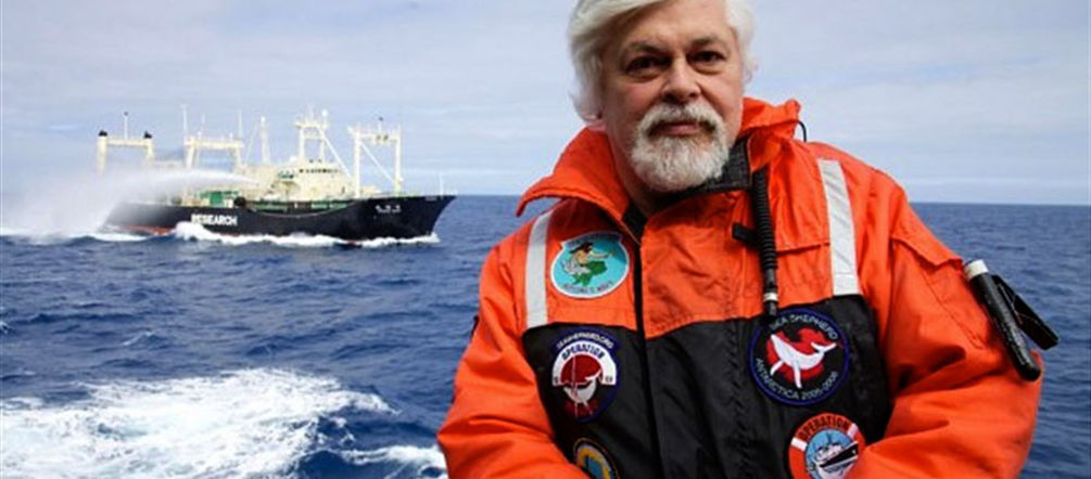 Paul Watson, incansable en defensa de los mares (Foto: Sea Shepherd, Barbara Veiga)